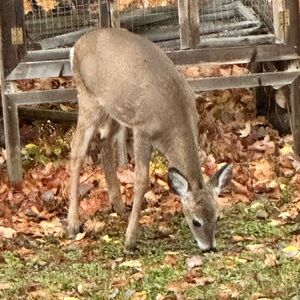 Meet your Posher, Kevin